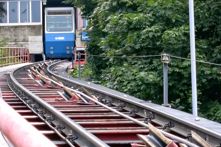 Cogwheel train on a scenic track through lush greenery, highlighting Zurich's unique transport experience.